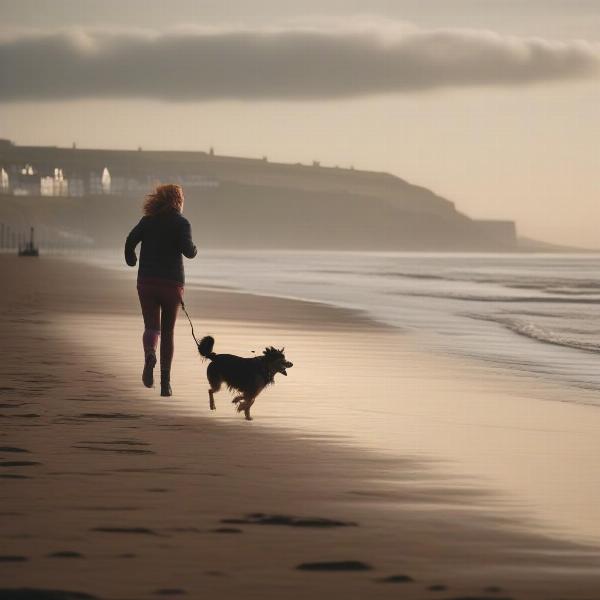 Dog walking on Whitby beach