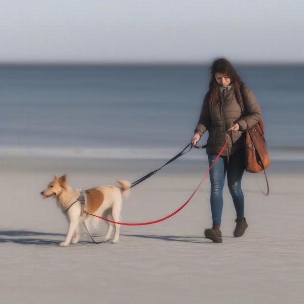 Dog Walking with a Double Leash