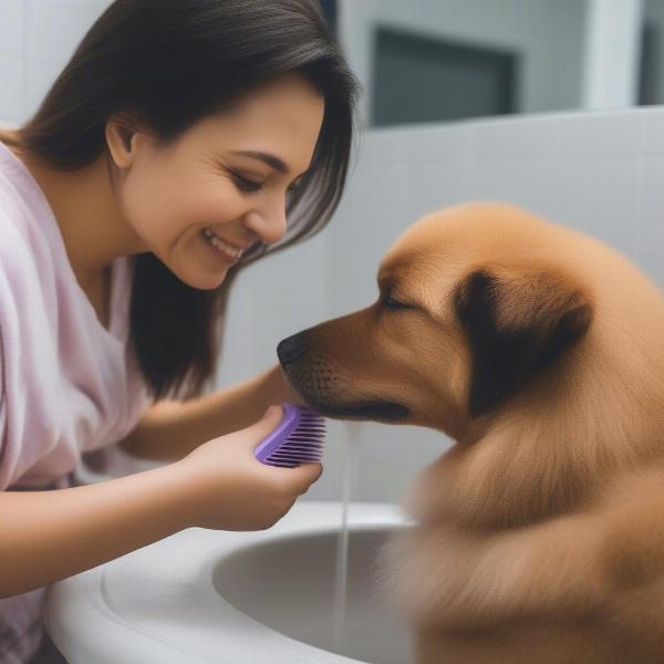 Preparing Dog for Wash in Wichita KS Douglas