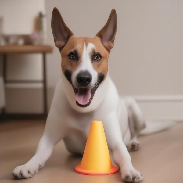 Dog wearing a cone and playing with a toy