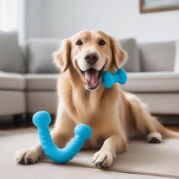 Dog with alternative chew toy