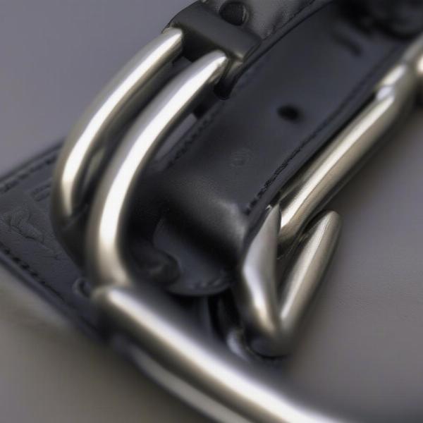 Close-up view of a dominant dog collar