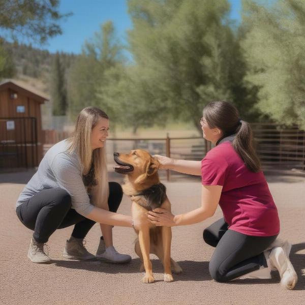 Durango Dog Daycare Staff interacting with dogs