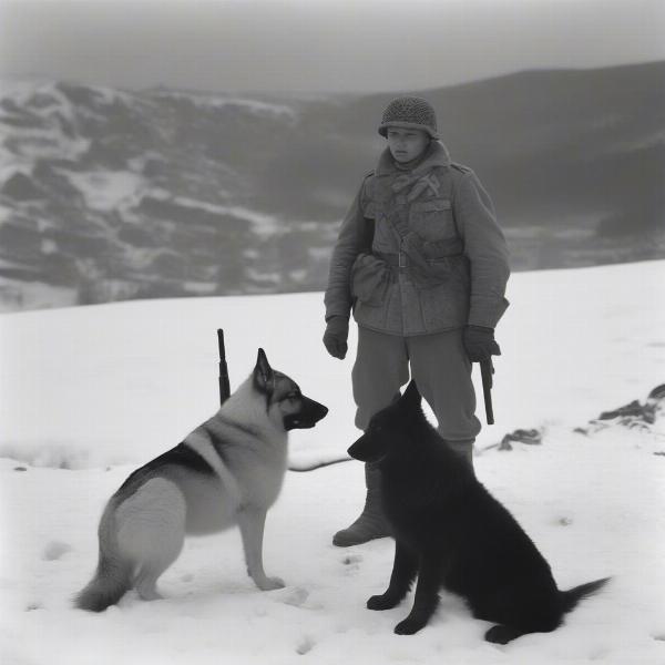 Eastern Shepherd Dog historical photo