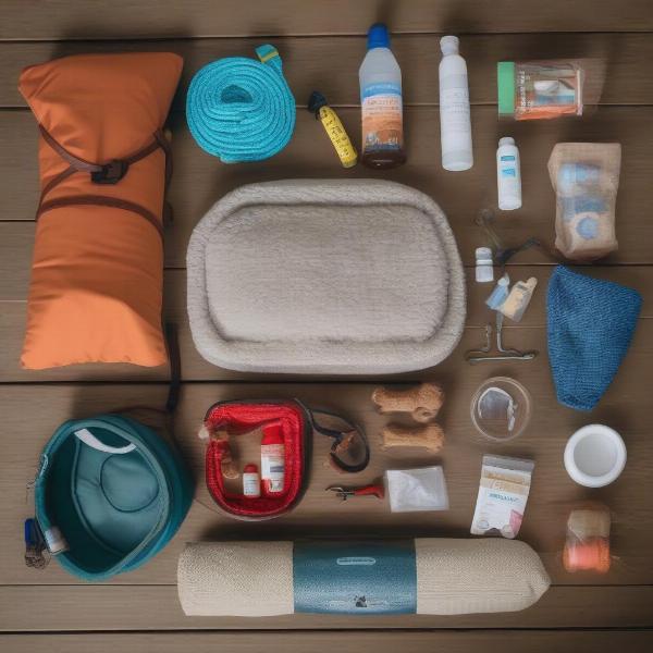 Essential Dog Glamping Gear