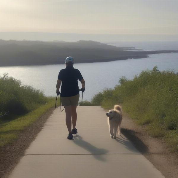 Exploring Avila Beach with your dog