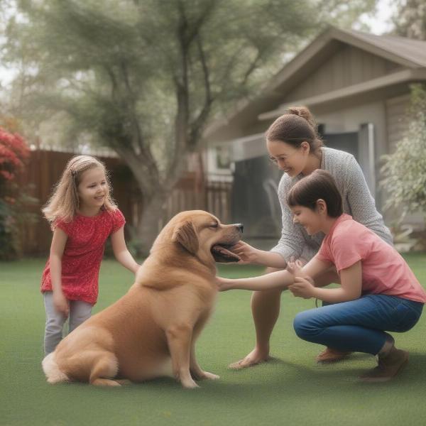 Family playing with dog