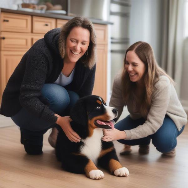 Family welcoming a Bernese Mountain Dog rescue puppy