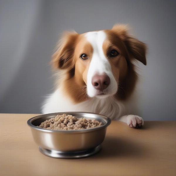 Feeding Beef Tripe to Dogs