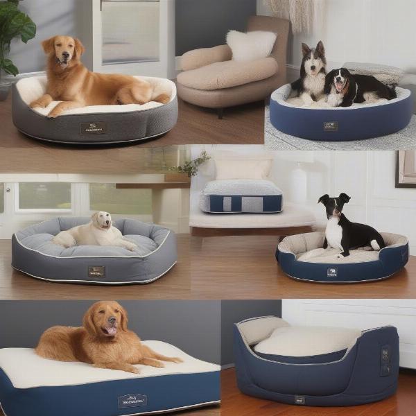 George Barclay Dog Bed Types