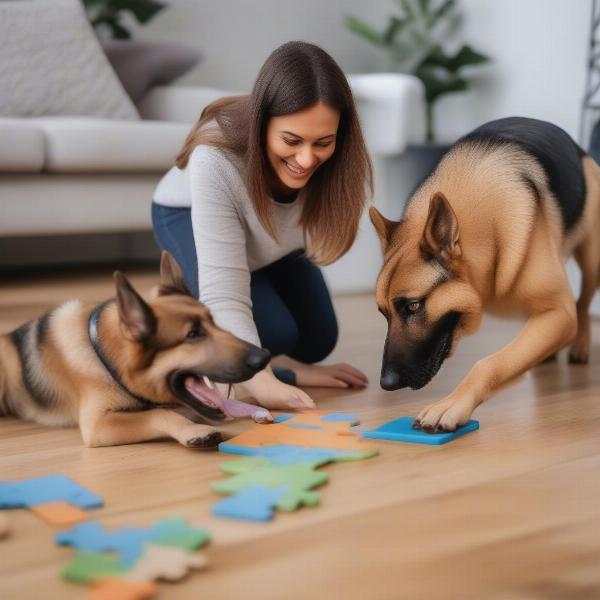 Owner and German Shepherd interacting with a puzzle toy