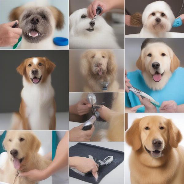 Dog Grooming Services Available in Germantown