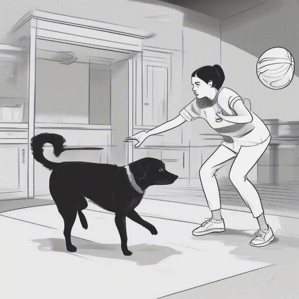 Introducing a Jumping Ball to Your Dog