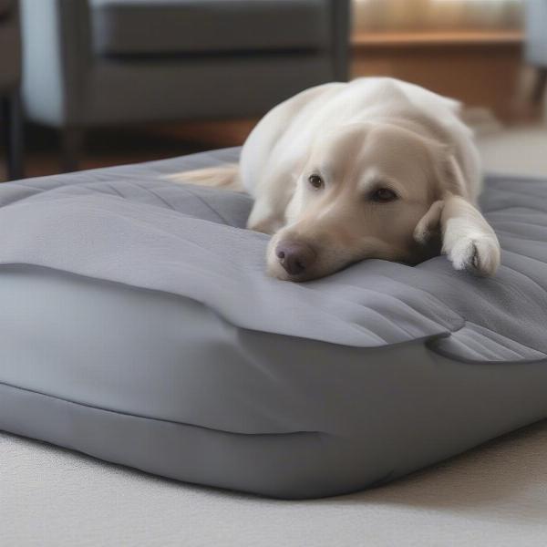 Easy-to-wash large gray dog beds