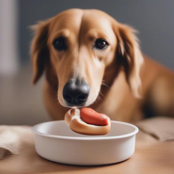 Gluten-Free Hot Dog Buns for Dogs