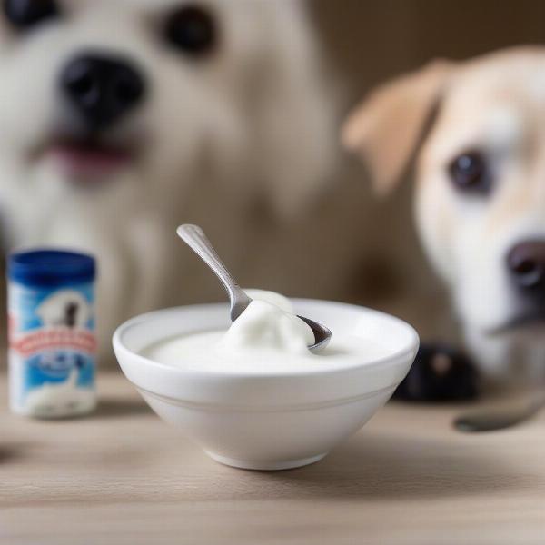 Goat Milk Yogurt for Dogs