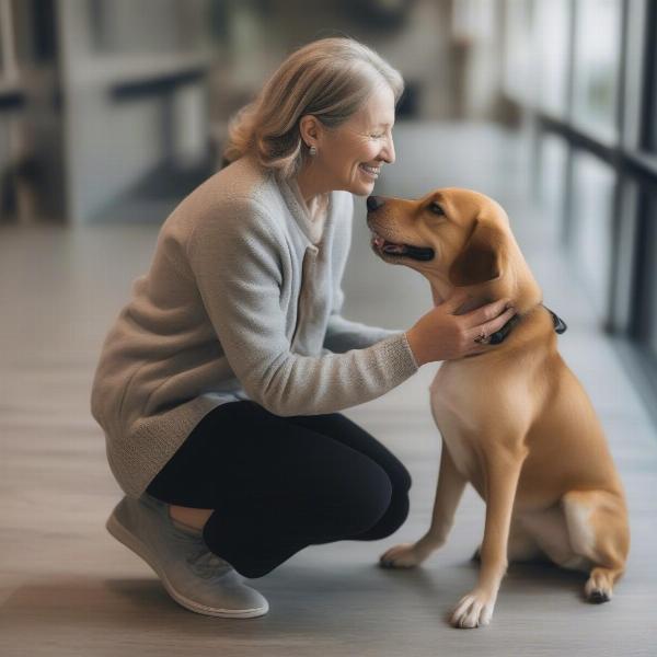 Assessing your dog's needs for Great Falls dog boarding