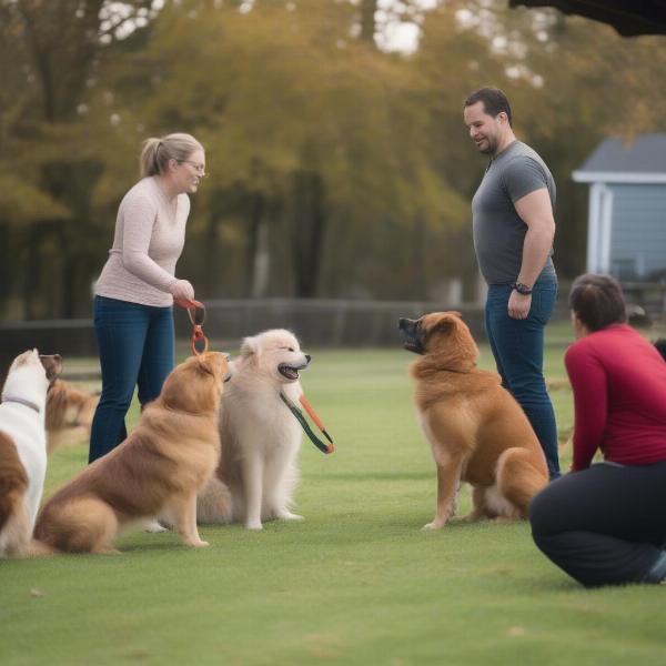 Group dog training in Chester County