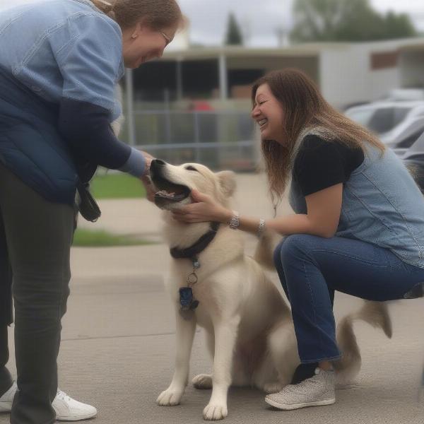 Reuniting Lost Dogs in Hamilton