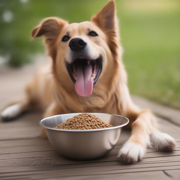 A Happy Dog Eating Total Canine Dog Food