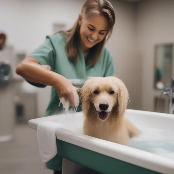 Happy dog getting a bath in Omaha