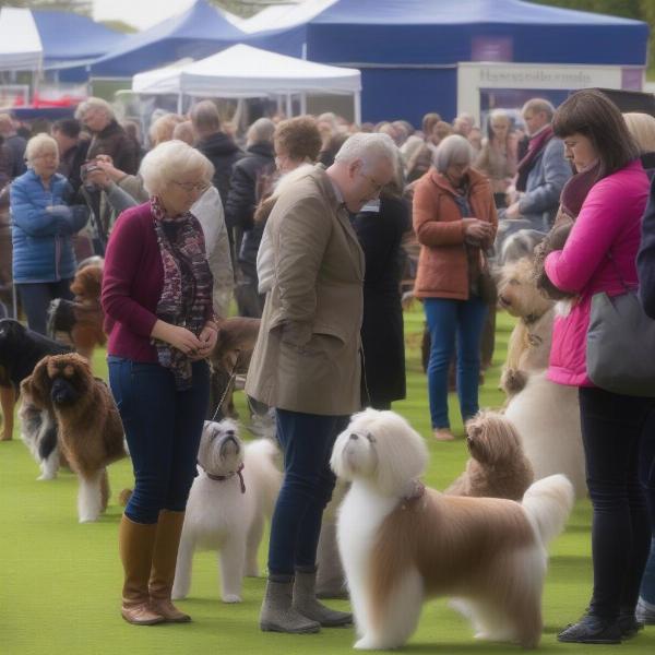 Harrogate Dog Show Visitors