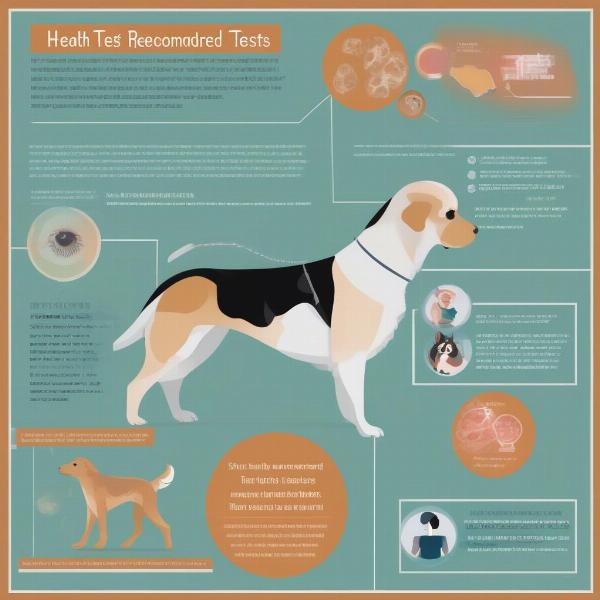 Health testing is crucial when choosing a stud dog in the UK. This includes screening for breed-specific genetic conditions.