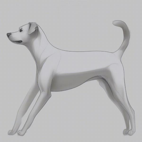 Healthy Dog Frame Illustration