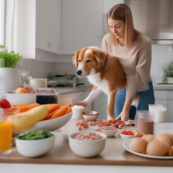 Preparing a Homemade Dog-Friendly Breakfast