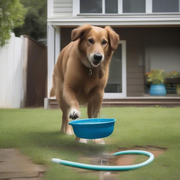 Hose-Attached Water Bowl