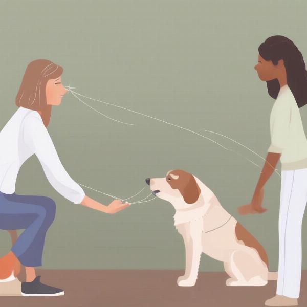 Dog Training and Behavior