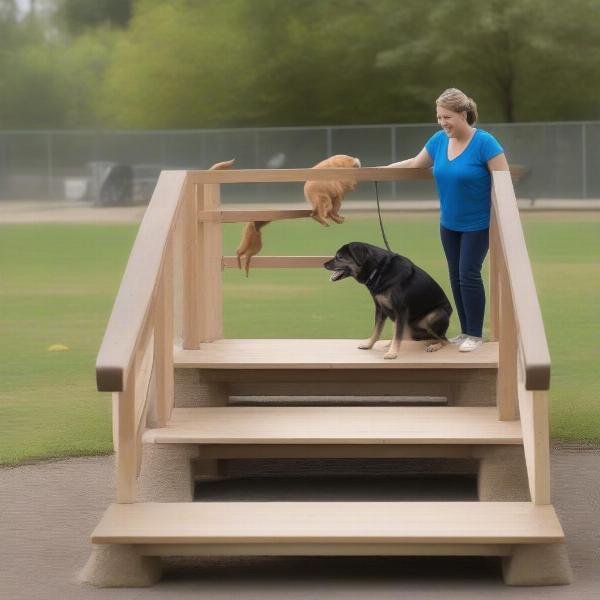 Training a dog to use a ramp