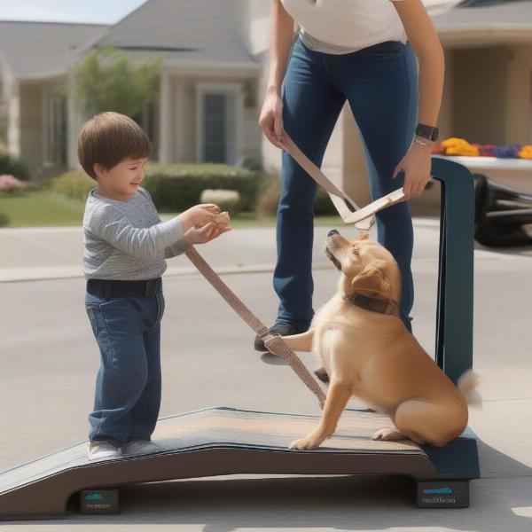 Training a dog to use a ramp