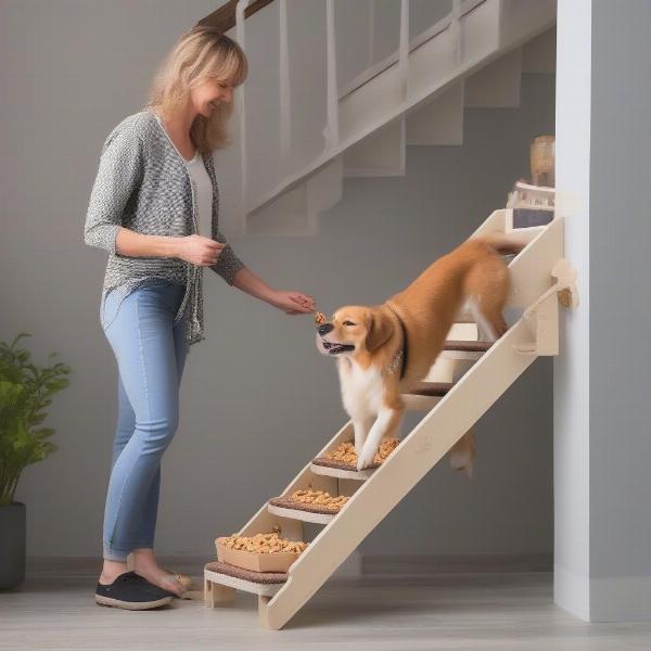 Training a dog to use folding dog stairs