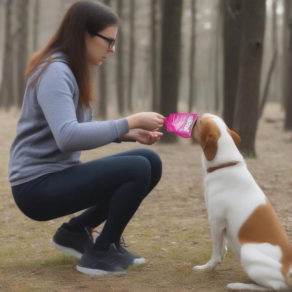 Training a dog using a treat bag