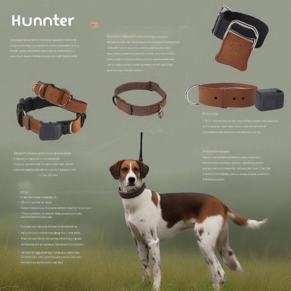 Different Types of Hunter Dog Collars