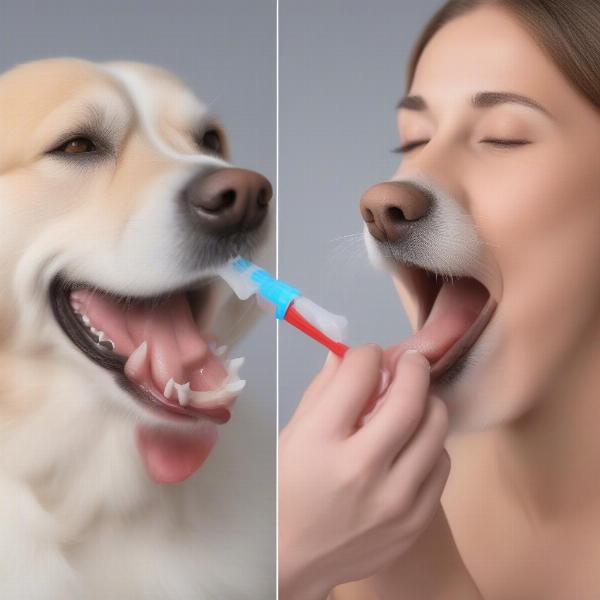 Guide to brushing your dog's teeth