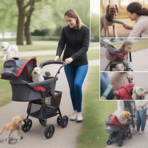 Guide to using a dog stroller