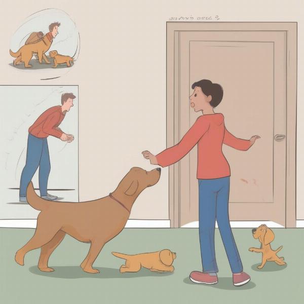 Identifying Aggression Triggers in Dogs