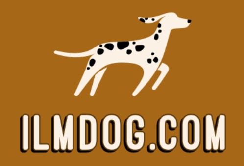 ilmdog.com