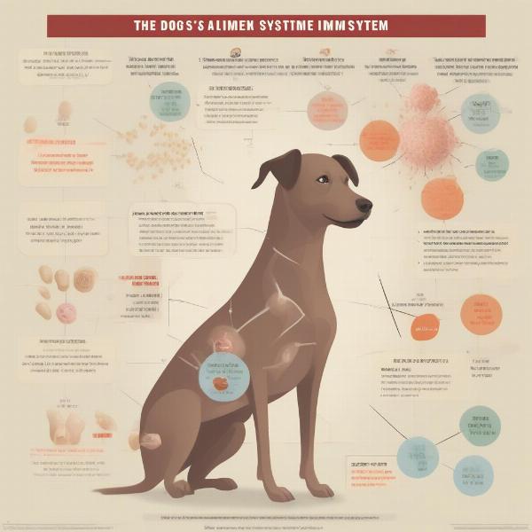 Dog's Immune System Explained