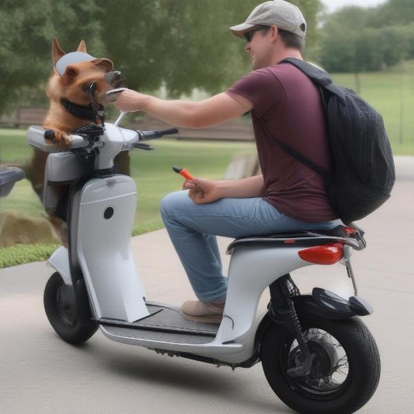 Installing a Scooter Dog Carrier