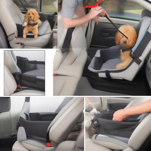 Installing a Wuglo Dog Car Seat in a Car