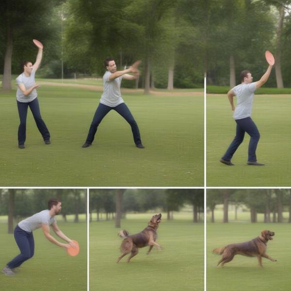 Dog Flying Disc Throwing Techniques