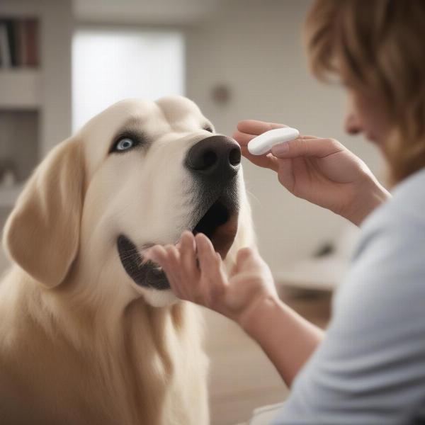 Large Dog Taking NexGard Spectra Chewable