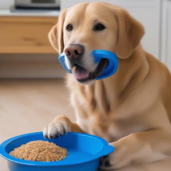 Large dog happily eating from a slow feeder bowl