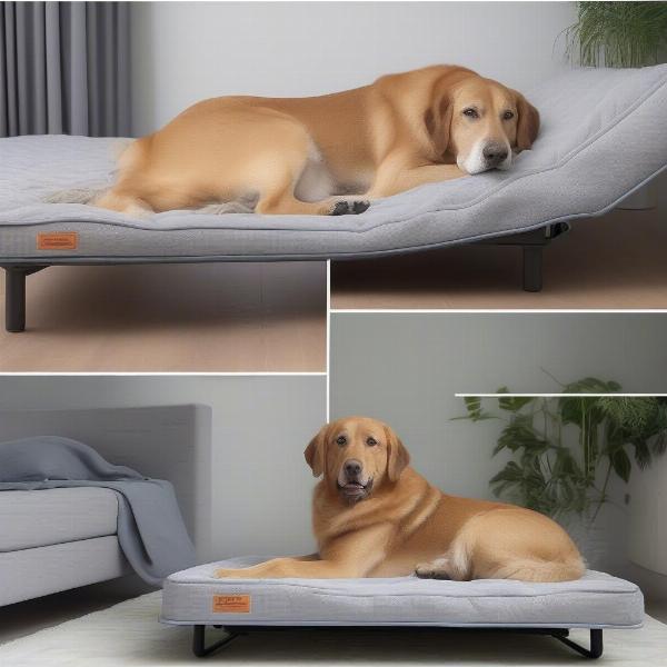 Large Raised Dog Bed Benefits