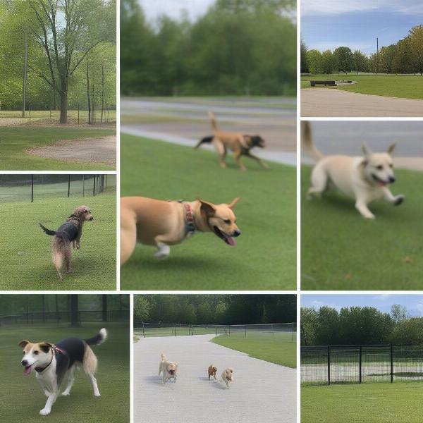 Dog parks and trails in Lexington, KY offer a variety of outdoor experiences for dogs.