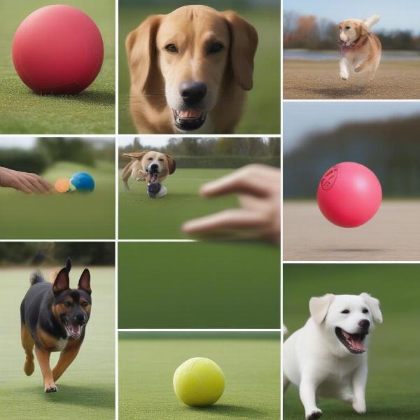 Benefits of Large Balls for Big Dogs