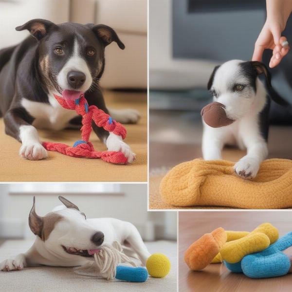 Benefits of Foot Dog Toys